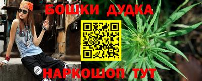 прущий лед Будённовск