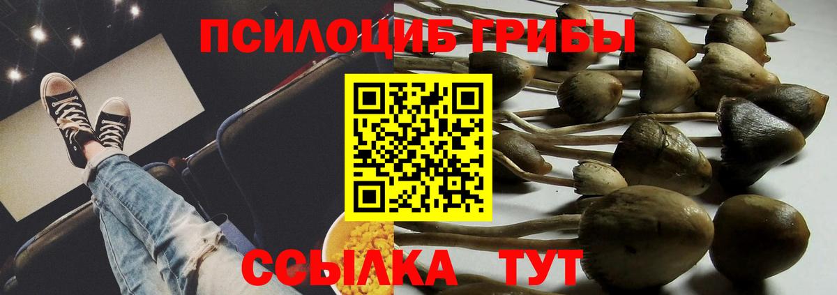 Бийск  как найти закладки  Вход с VPN  Псилоцибиновые грибы MAGIC MUSHROOMS 